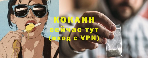 мяу мяу мука Белокуриха