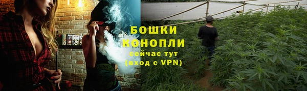 spice Беломорск