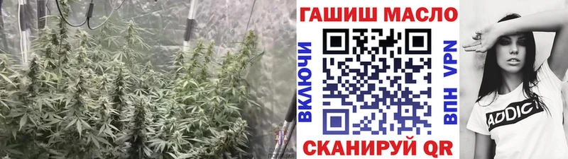 Дистиллят ТГК гашишное масло  что такое   дарк нет как зайти  Волосово 