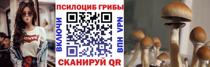 наркота  Волосово  MEGA сайт  Галлюциногенные грибы MAGIC MUSHROOMS 