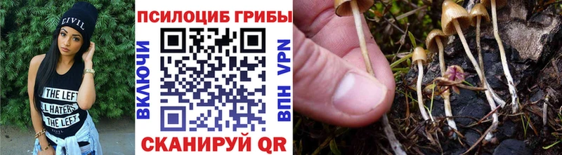 Галлюциногенные грибы Magic Shrooms Волосово